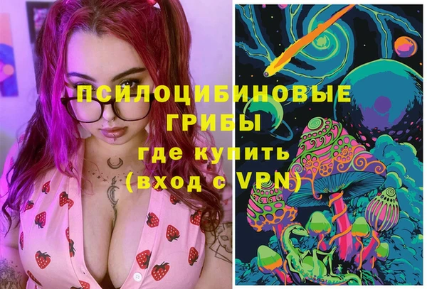 гидра Алзамай