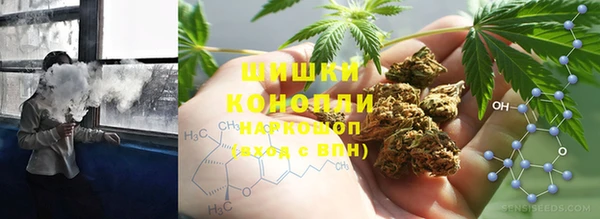 гидра Алзамай
